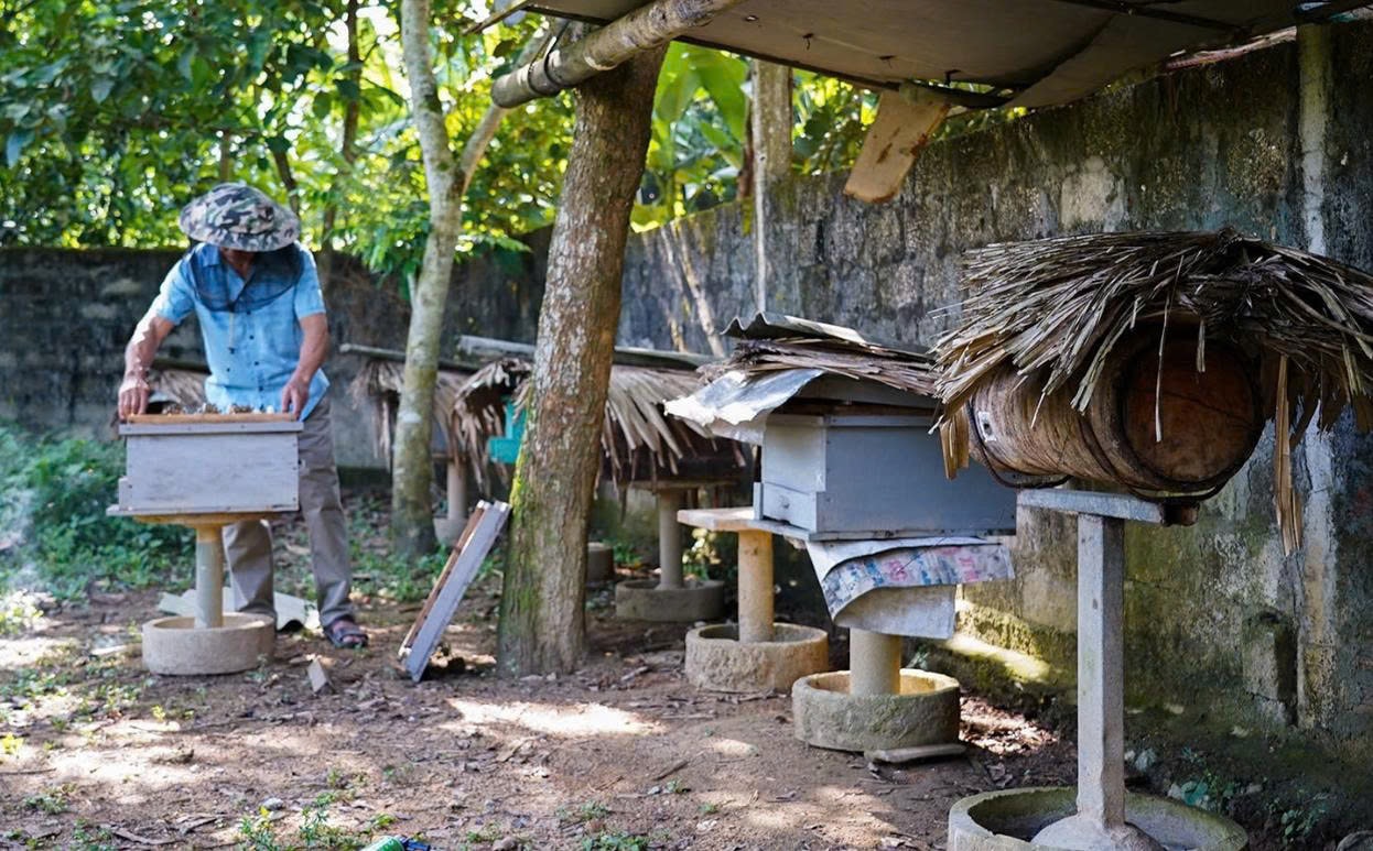 Khu vườn nhỏ của ông Hồ Văn Bình nay đã thơm lừng mùi mật