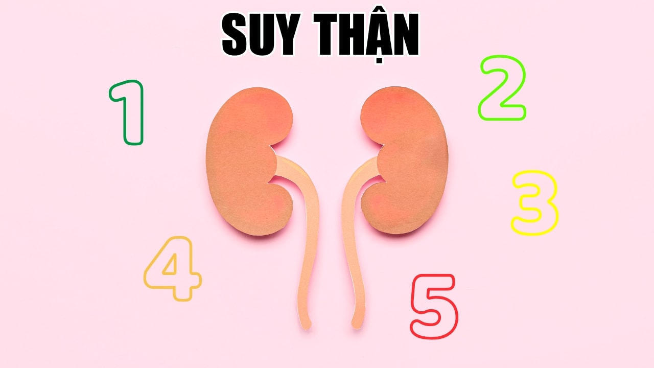 5 giai đoạn suy thận