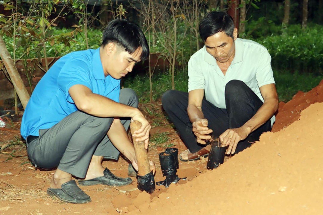 Anh Đào Duy Ninh (bìa trái) khởi nghiệp từ sản xuất giống cây dó bầu, hằng năm xuất bán ra thị trường hàng trăm ngàn cây giống (1)