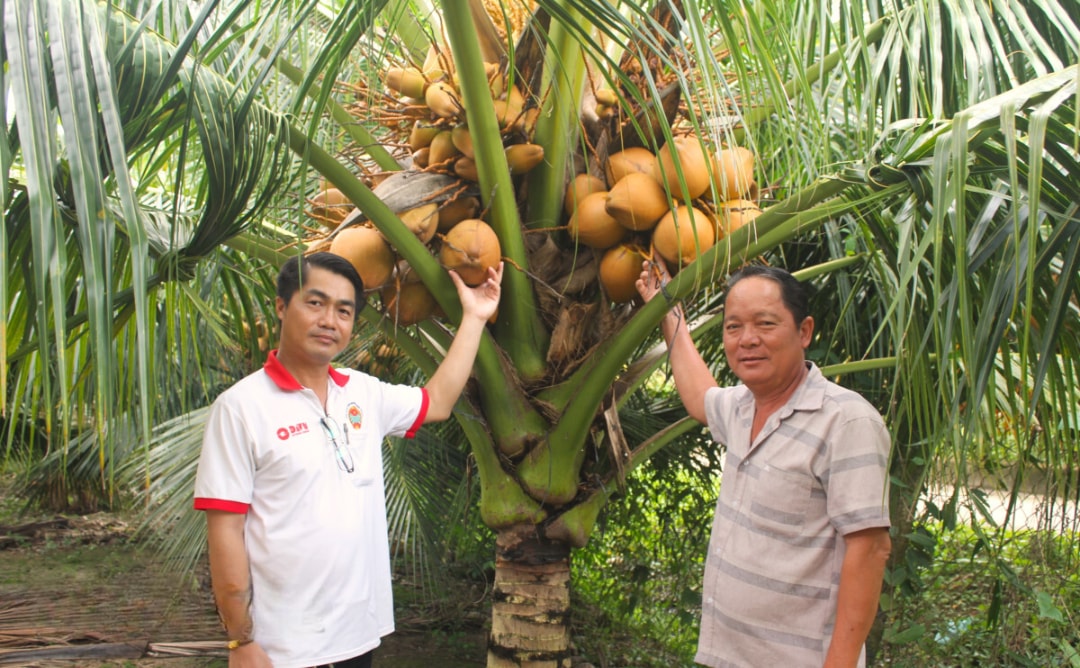 Hội Nông dân xã Tường Đa tham quan thực tế vườn dừa 1.000m2 của hộ ông Nguyễn Hồng Sang (bìa phải), ngụ Tổ nhân dân tự quản số 4, ấp Bình An
