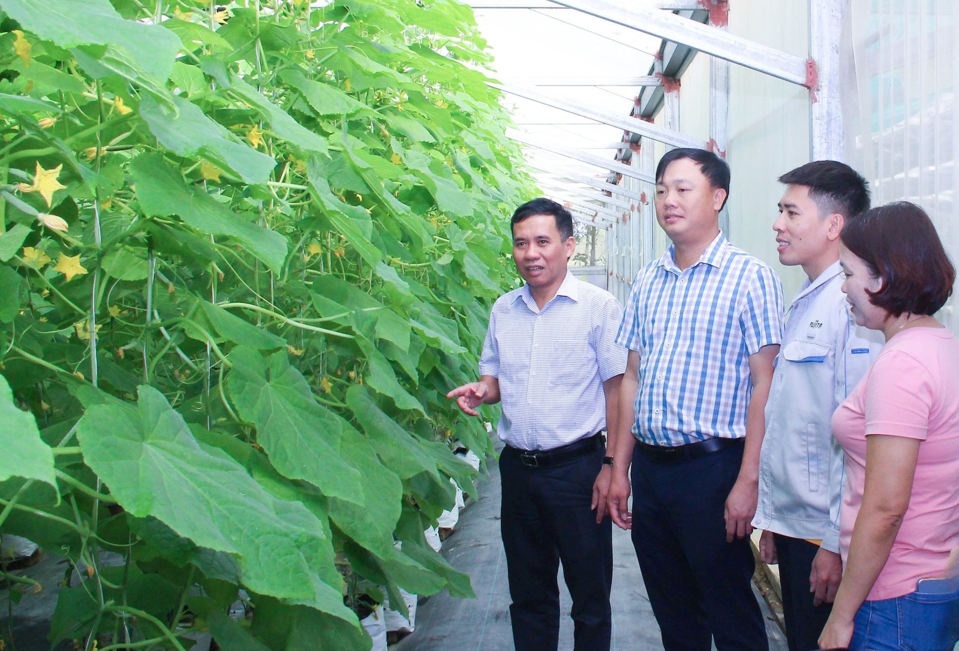Hưng Nguyên Nghệ An nông thôn mới