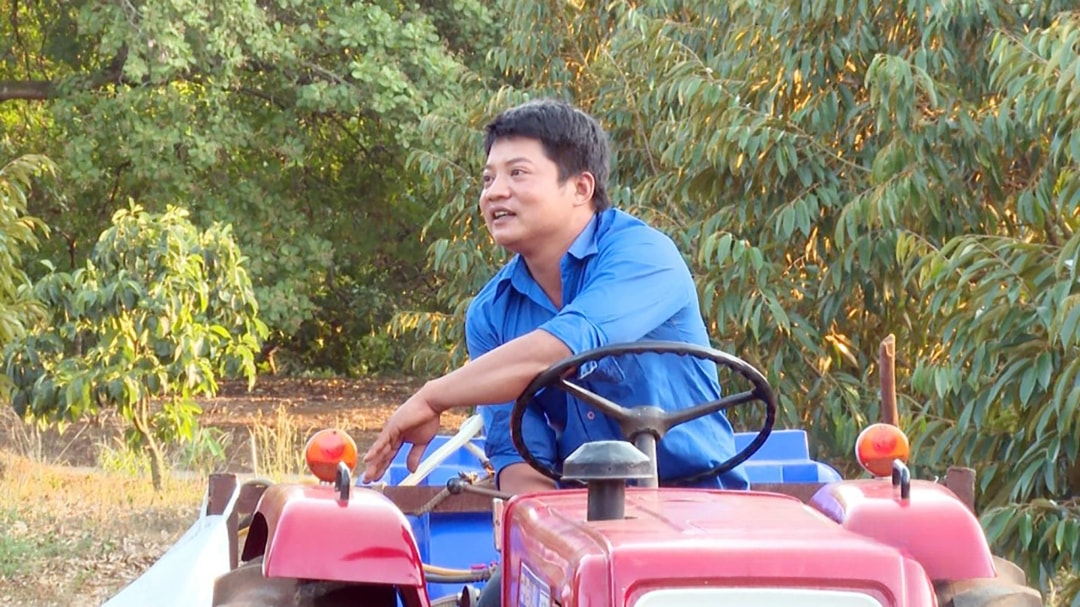 Với tinh thần cầu tiến, dám nghĩ, dám làm, anh Phạm Hùng mạnh dạn chuyển đổi nuôi dê sang trồng sầu riêng mang lại hiệu quả kinh tế cho gia đình (1)