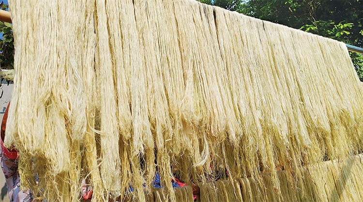 sợi dứa