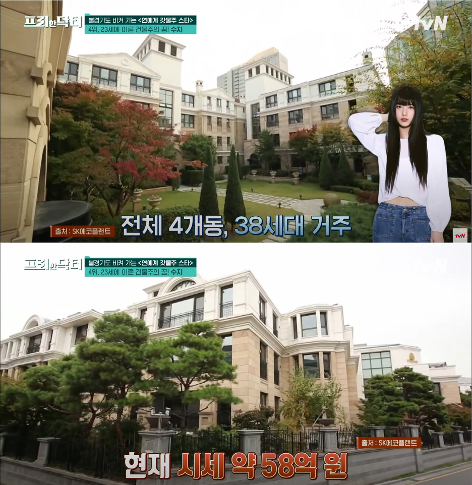 suzy1.png