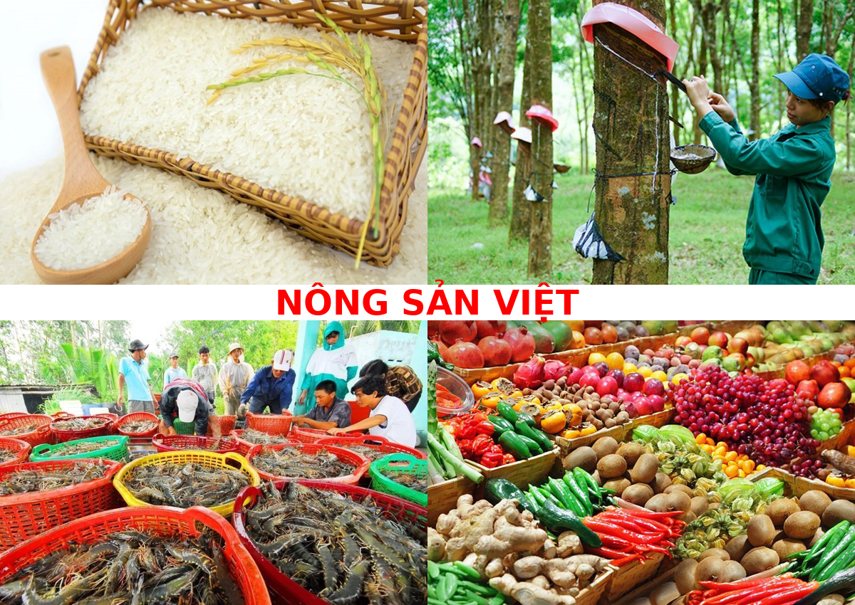 nong_san_viet_collage.png