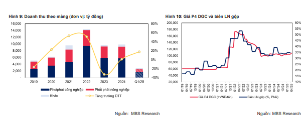 Doanh thu từng mảng của DGC