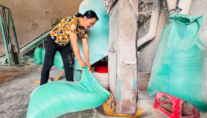 Gia đình chị Hương nhanh nhạy trong sản xuất, kinh doanh