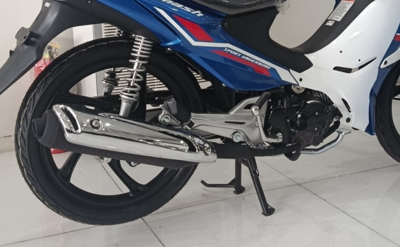suzuki3.png