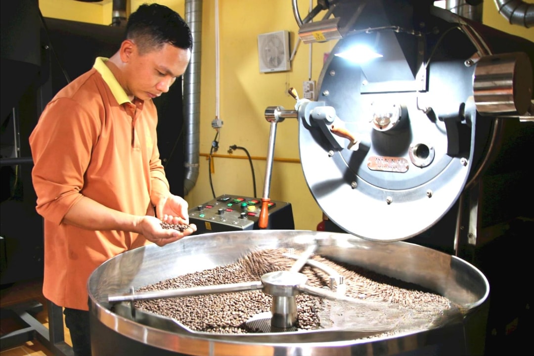 Anh Trần Văn Phú, ở xã Đắk Ru, huyện Đắk R’lấp khởi nghiệp với việc trồng, sản xuất cà phê đặc sản