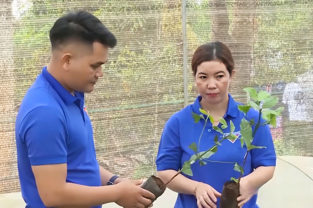 Cùng với bán cây giống, chị H'Nhiên còn tích cực chia sẻ kinh nghiệm, hướng dẫn kỹ thuật trồng, chăm sóc cây cà phê cho bà con, thanh niên trên địa bàn