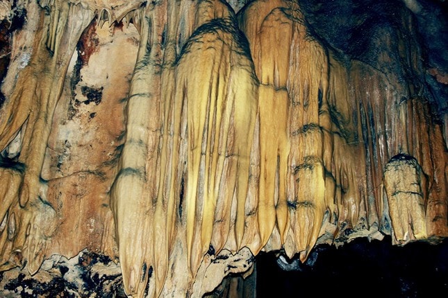 nhu da
