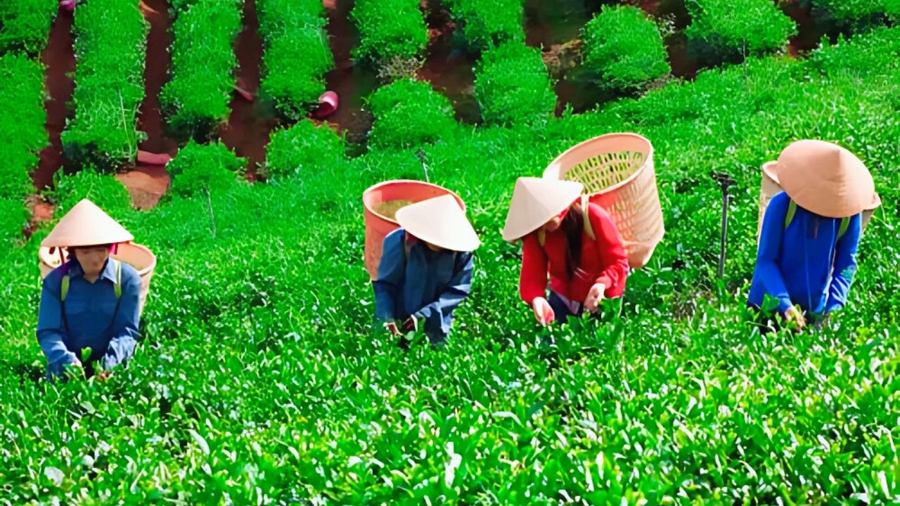 nông thôn mới Chính phủ