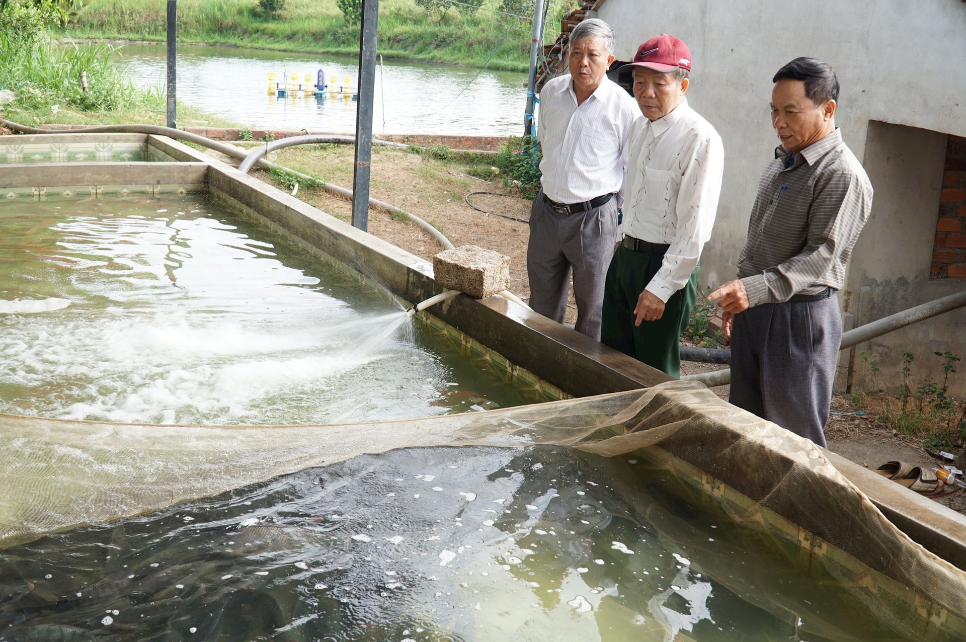 Ông Chuyền (đầu tiên từ phải sang) chia sẻ về quá trình chăm sóc đàn cá của mình