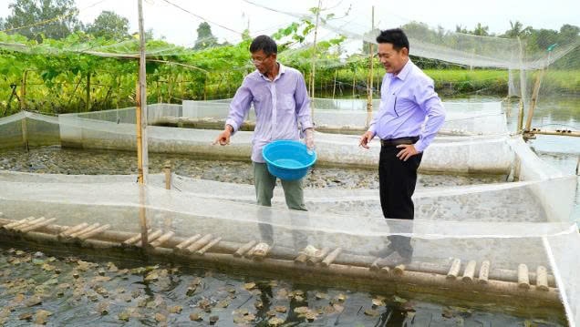 Cán bộ Hội Nông dân xã Tân Hiệp B (bên phải) thăm hỏi tình hình nuôi ếch của anh Phan Văn Mẫn Anh