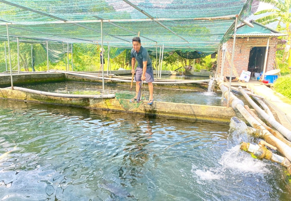 Mô hình nuôi cá tầm trong bể bằng công nghệ tuần hoàn nước của anh Ngụy Văn Công, xóm Bản Hoàng, xã Trường Hà (Hà Quảng) thu hoạch hơn 7 tấn cá thương phẩm hàng năm
