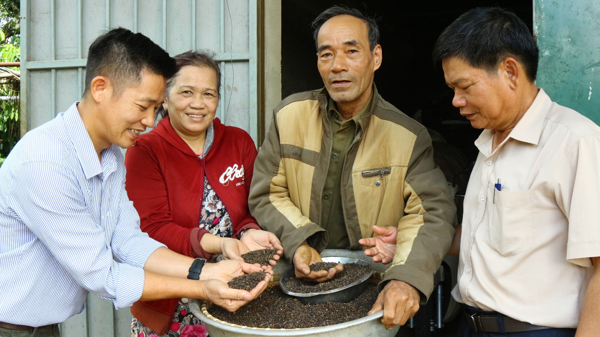 Nông dân xã Lộc Ngãi vui mừng vì những năm qua giá cả hồ tiêu luôn ổn định, mang lại thu nhập cao