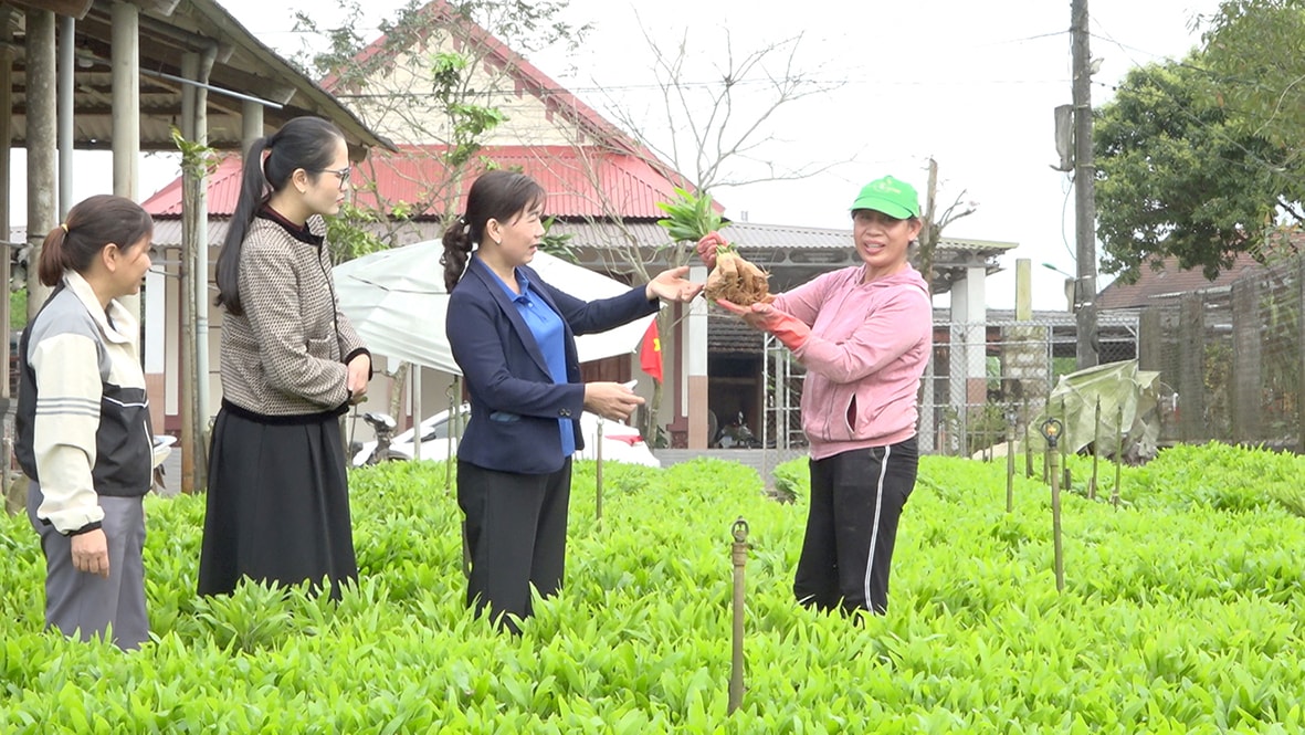 Chị Trần Thị Hòa (thứ nhất từ phải sang) chia sẻ kinh nghiệm sản xuất cây giống cho hội viên phụ nữ