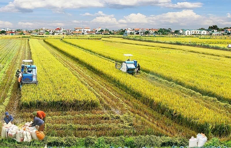 Chính sách thuế mới giúp hộ nghèo được miễn thuế nộp đất nông nghiệp