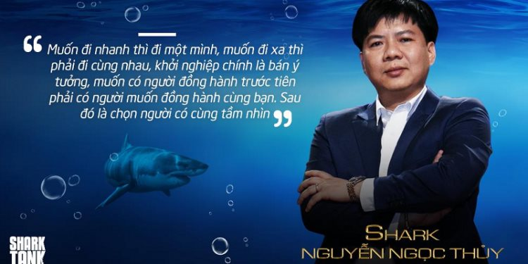 Shark Thủy