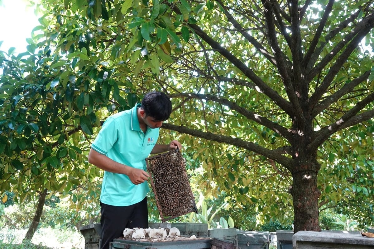 Anh Nguyễn Kim Trọng đang xây dựng và phát triển nhãn hiệu sản phẩm Ong nhà Trọng
