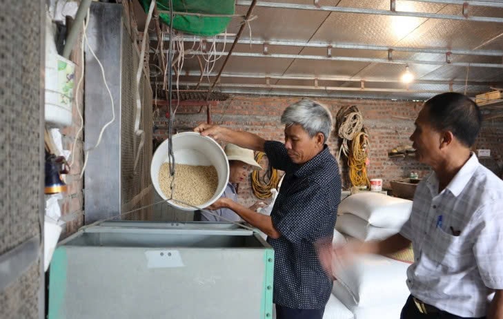 Hệ thống thức ăn tự động được thiết kế từ bên ngoài dẫn vào khu chuồng trại, giúp bảo đảm vệ sinh