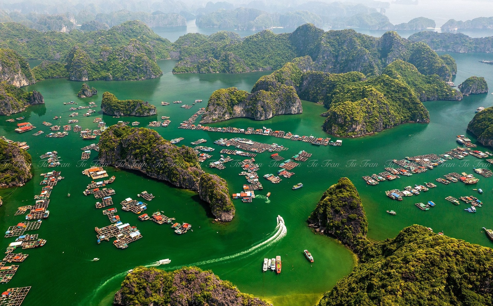 làng chài Cái Bèo