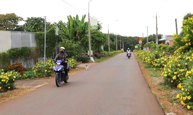 Một đoạn đường ở huyện Xuân Lộc