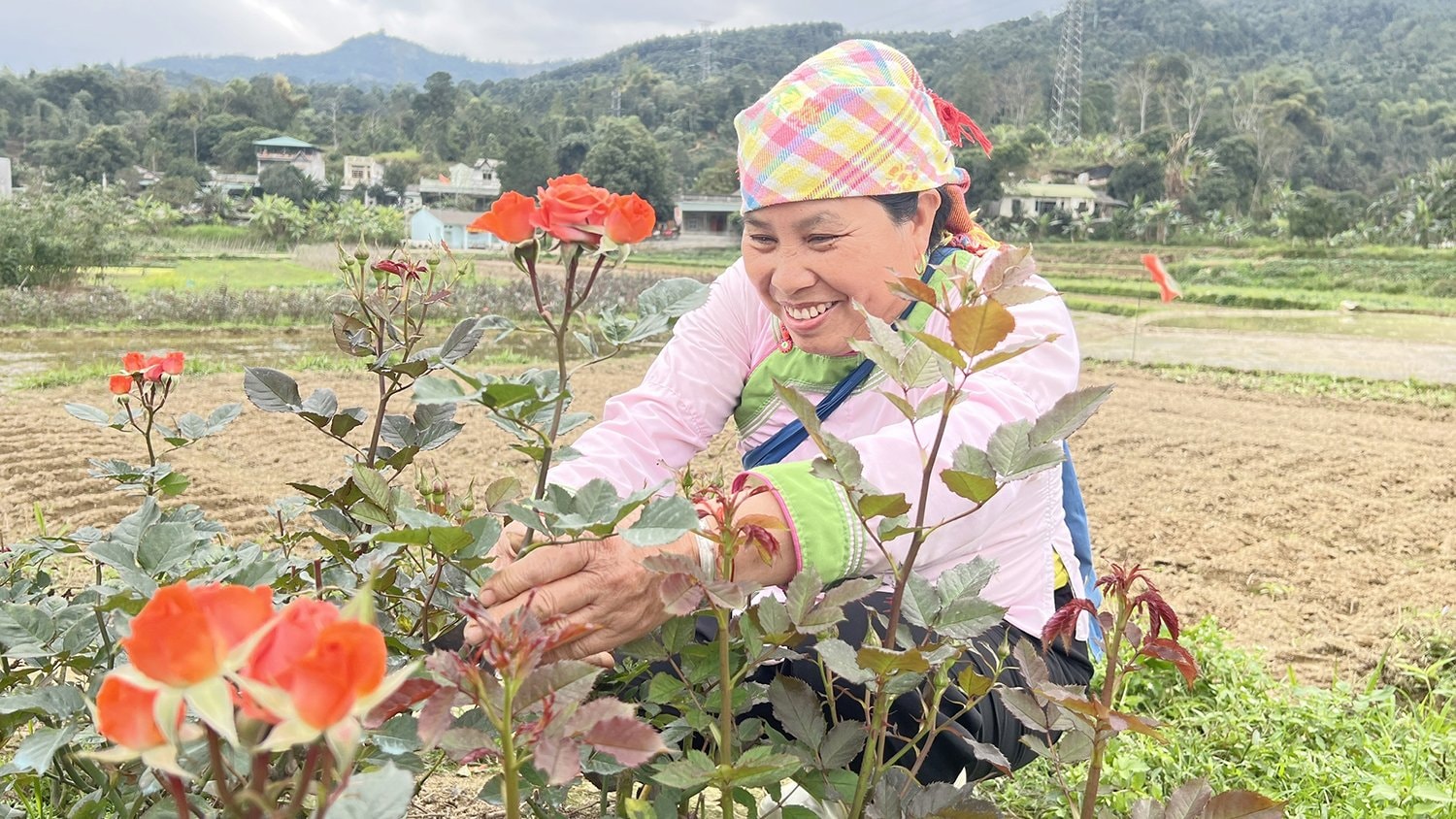 Bà Nông Thị Tân, dân tộc Giáy tại tổ 12, thị trấn Bát Xát (Lào Cai)