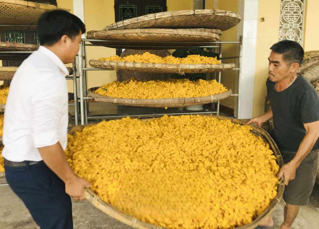 Nông dân xã Hồng Phong (Vũ Thư) đầu tư lắp đặt máy điều hòa nhiệt độ để nuôi tằm, giúp tăng gấp 2 - 3 lần năng suất kén tằm so với trước kia