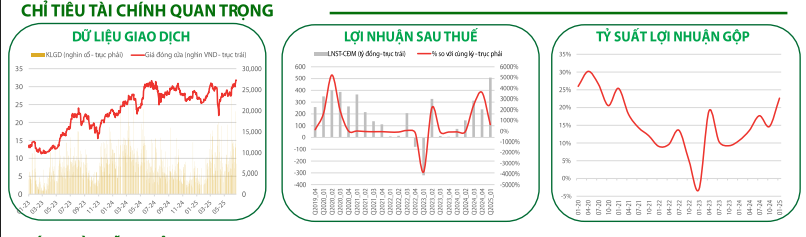 Chỉ tiêu tài chính DBC