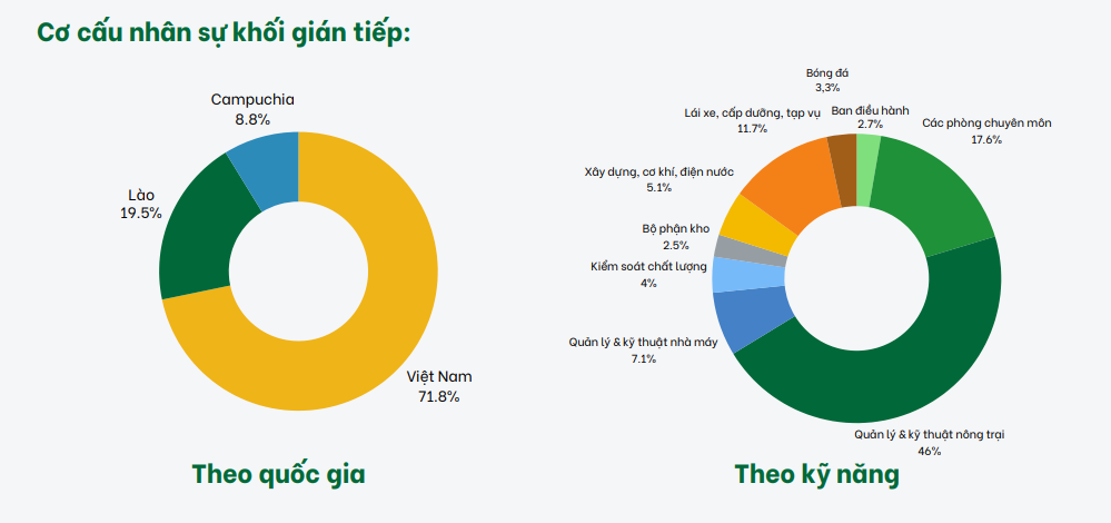 cơ cấu nhân sự tại HAGL
