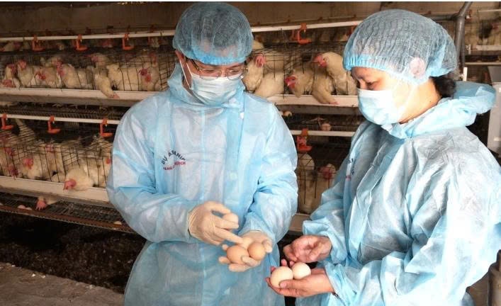Bà Phạm Thị Nguyệt Dung (bên phải) giới thiệu về sản phẩm trứng gà Tân An