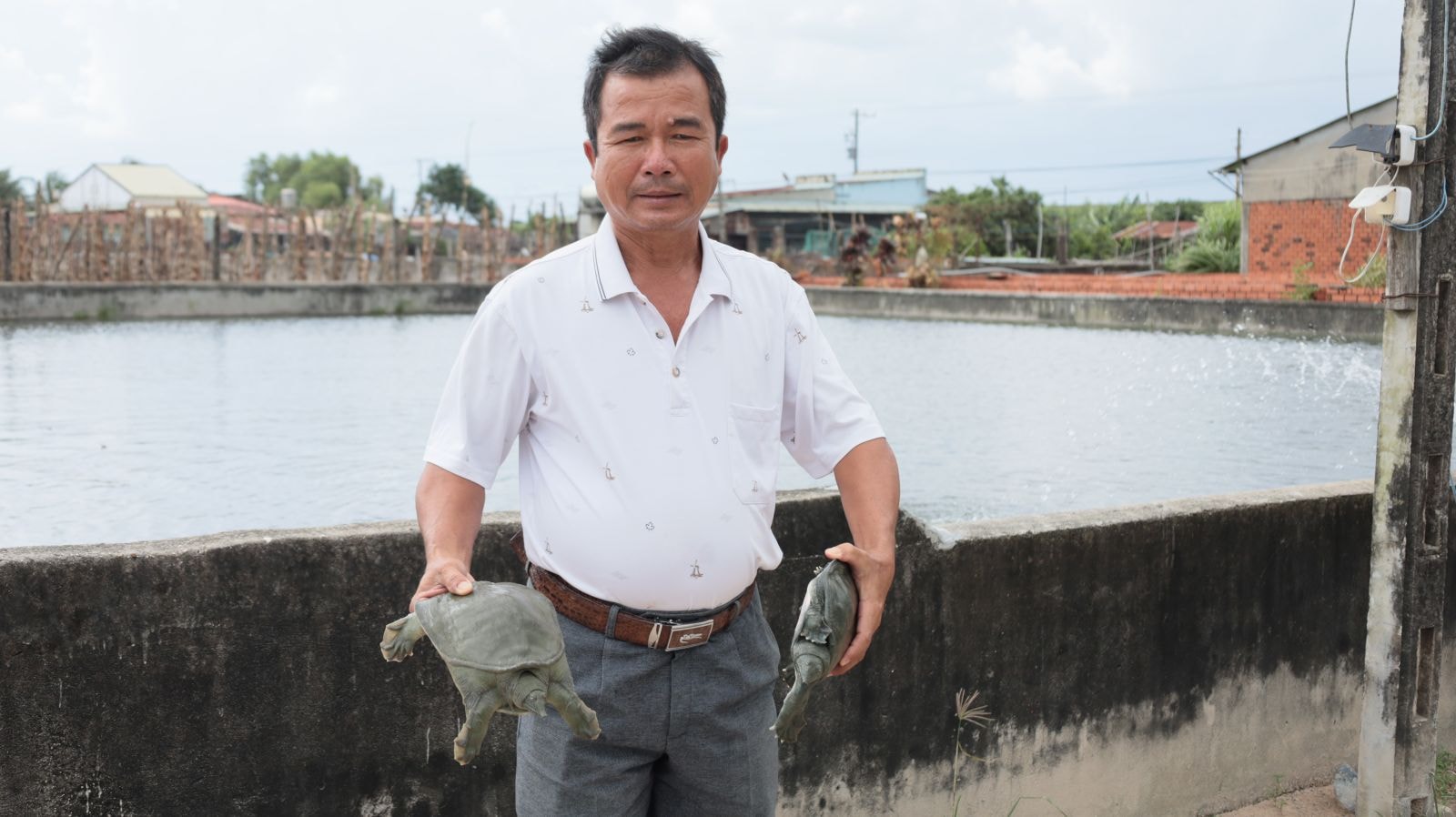 Ông Phạm Văn Toại phát triển kinh tế ổn định nhờ mô hình nuôi ba ba thương phẩm