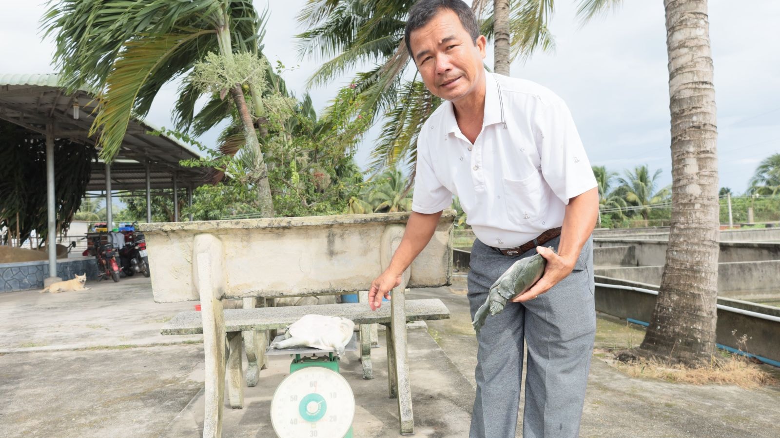 Ông Phạm Văn Toại từ mô hình mới