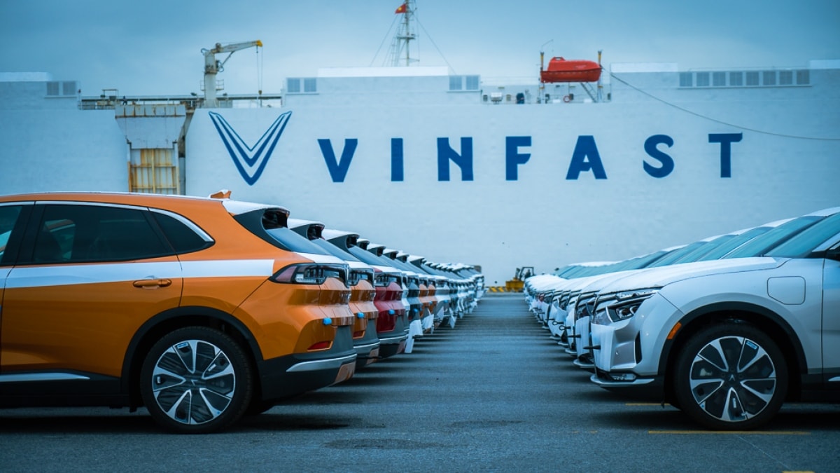 vf.jpg