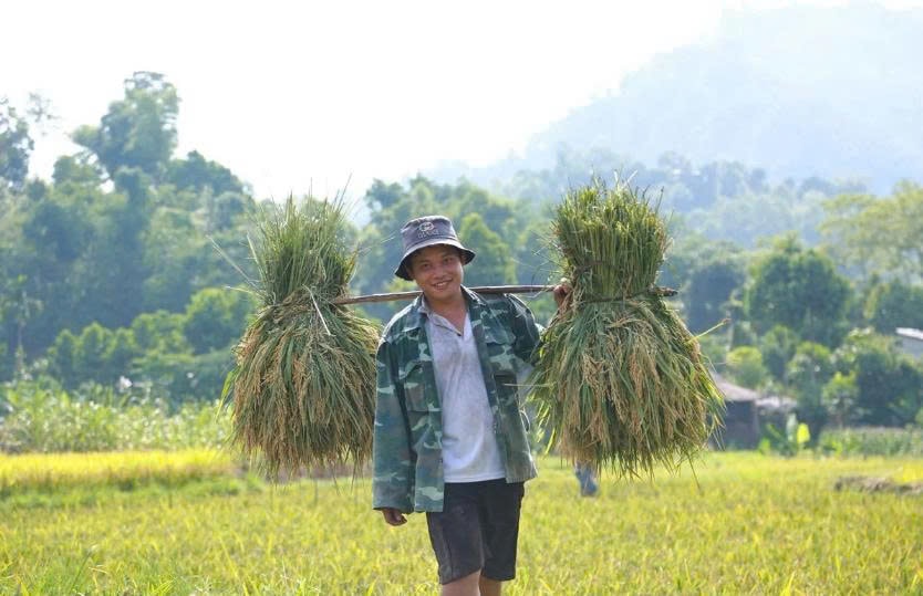Nhờ hạn chế sử dụng thuốc bảo vệ thực vật và phân bón hóa học, mô hình góp phần cải thiện chất lượng đất, nguồn nước, hệ sinh thái và bảo vệ sức khỏe con người