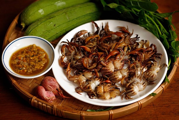 cuadong1.jpg