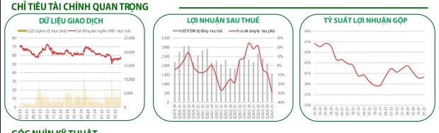 Các chỉ tiêu quan trọng của VNM