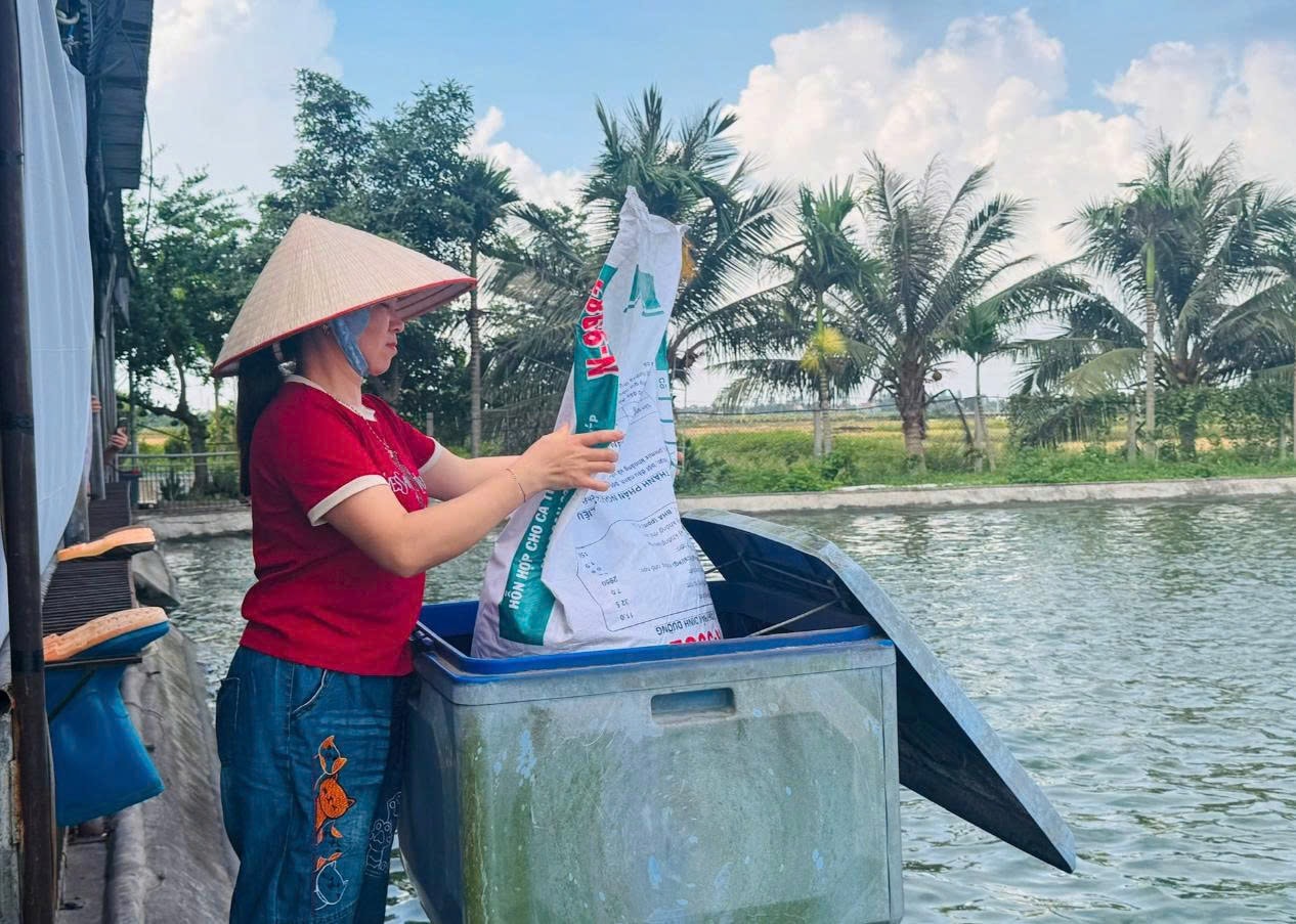 Gia đình anh Nguyễn Đình Đại ở thôn Gồm, xã Dân An dùng hệ thống cho cá ăn tự động