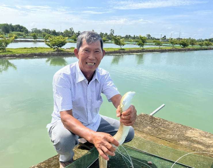 Giờ mỗi năm ông Ánh thu lãi ròng cả tỷ đồng từ mô hình này