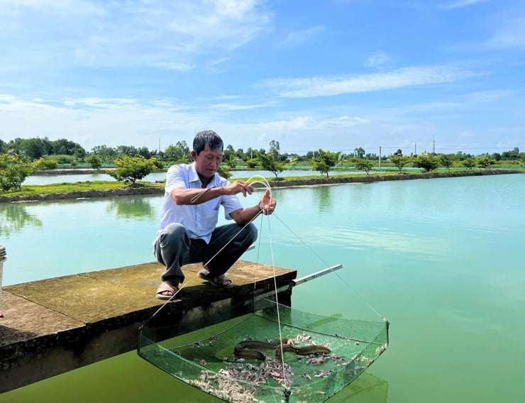 Ông Ánh tại khu ao nuôi nhà mình