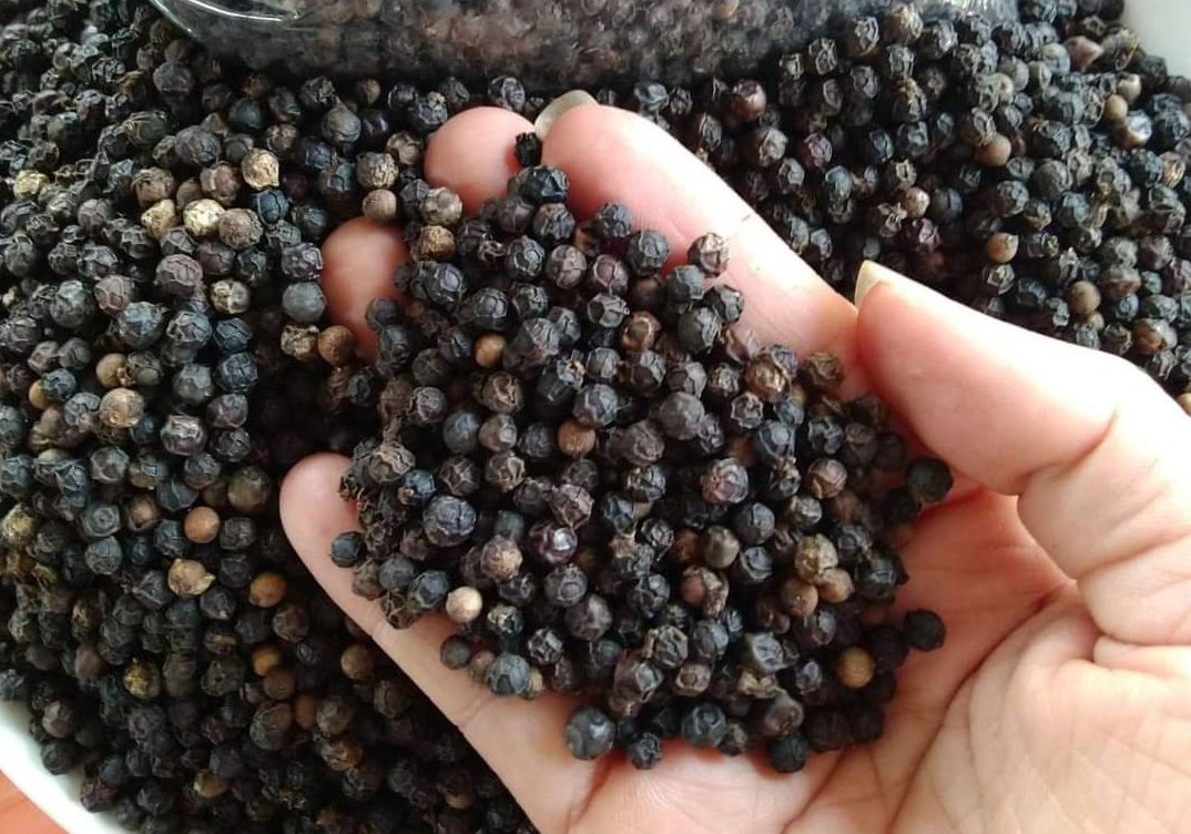 Giá cà phê hôm nay 2/7 tăng nhẹ tại nhiều địa phương Tây Nguyên