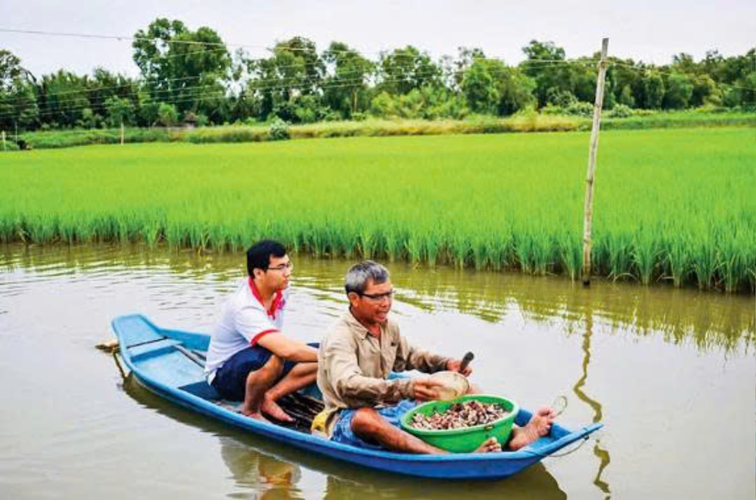 Anh Trầm Minh Thuần cùng nông dân trong hợp tác xã trên cánh đồng mô hình lúa kết hợp tôm (1)