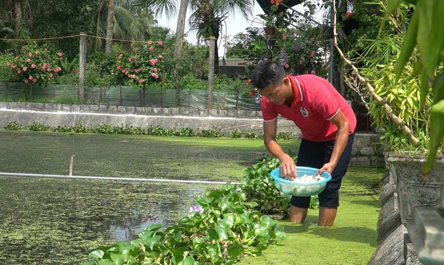 Anh Hải đang thu gom ốc