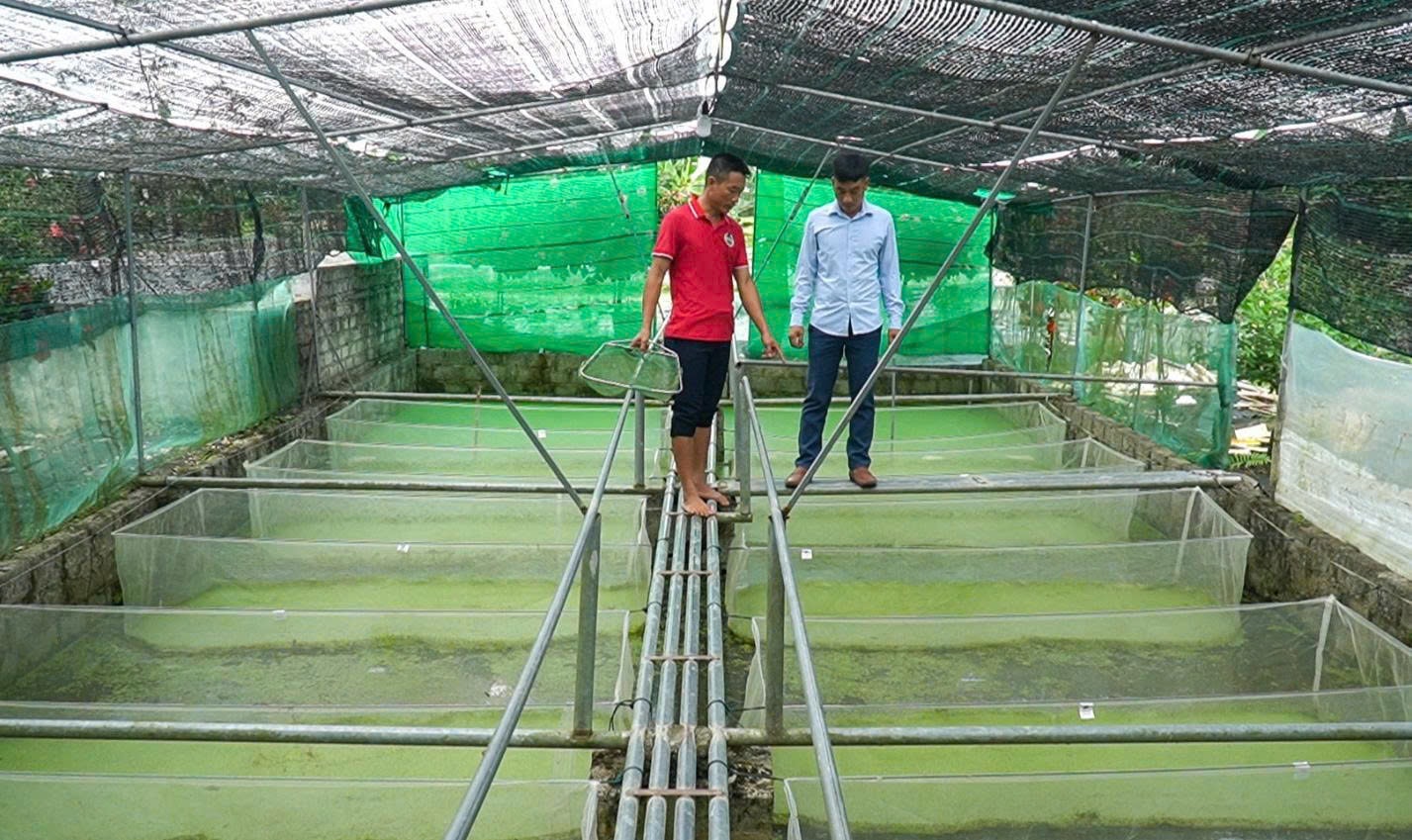 Trang trại của 2 anh em được đầu tư vô cùng bài bản