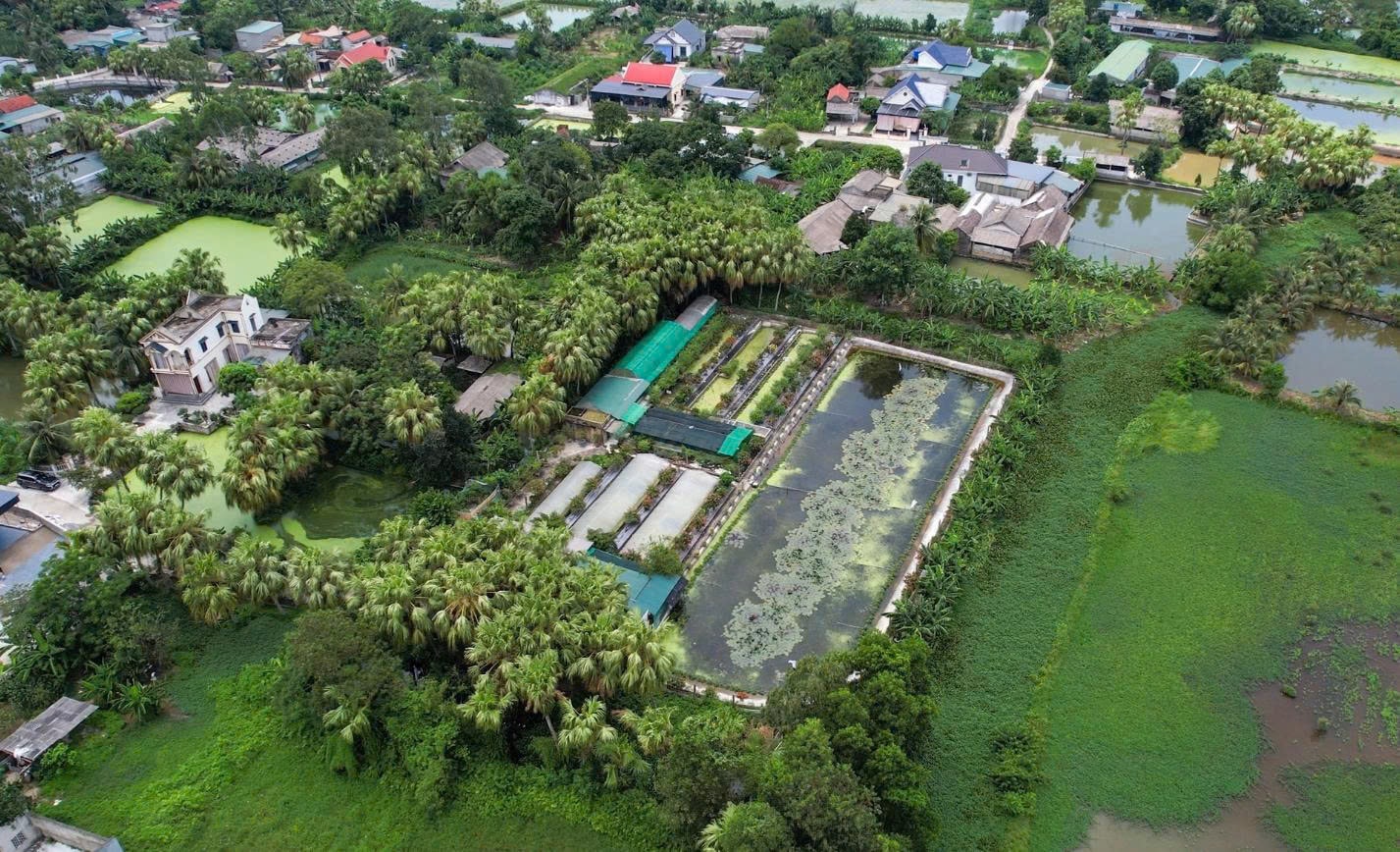Trang trại nuôi ôc của hai anh em