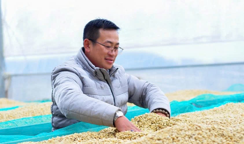 anh Nguyễn Song Vũ chế biến cà phê nhân cung ứng cho thị trường