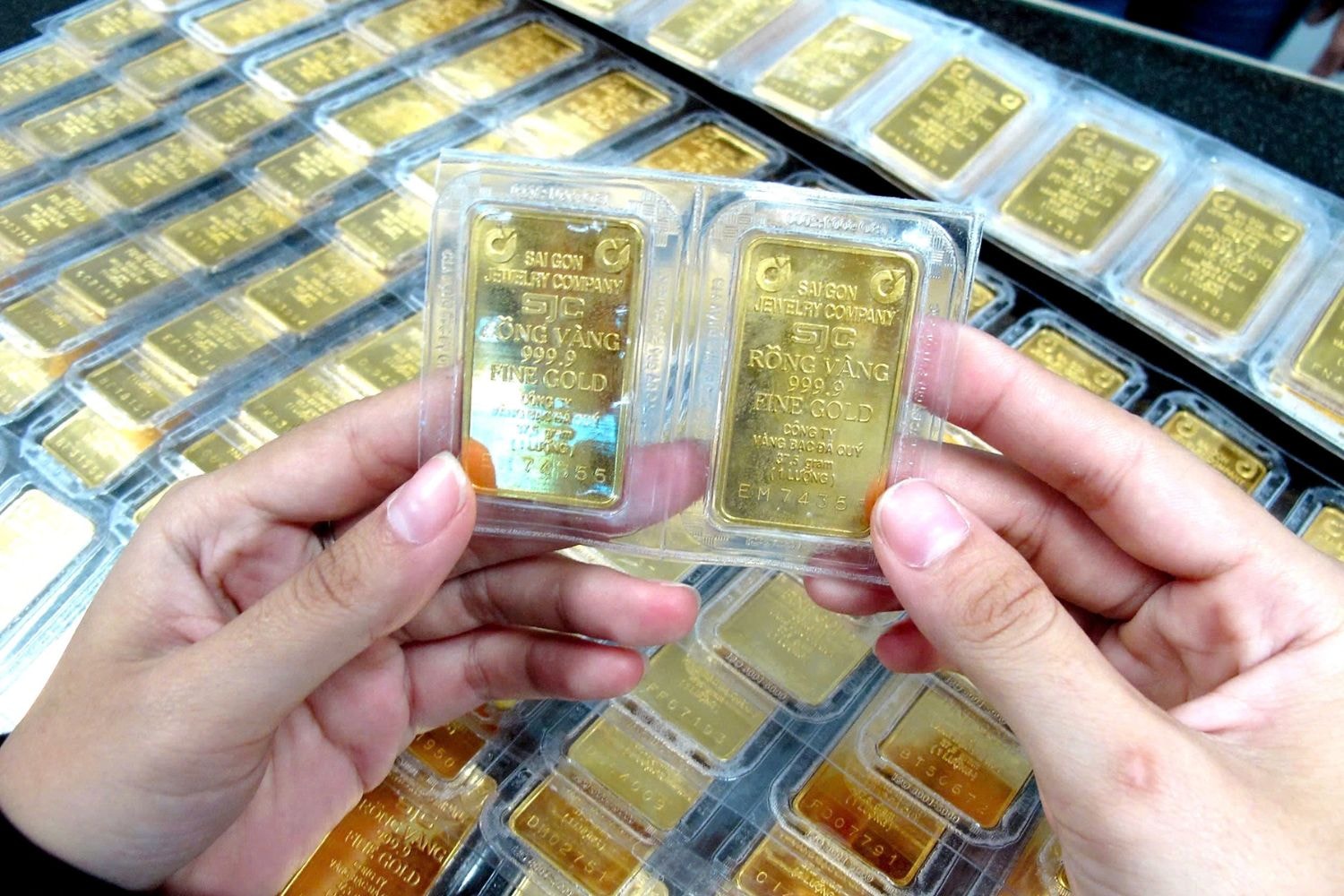 giá vàng chiều nay 67