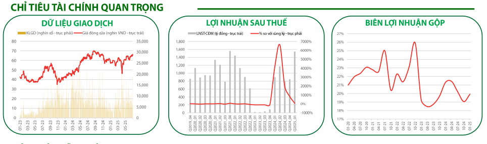 Chỉ tiêu tài chính quan trọng của MWG