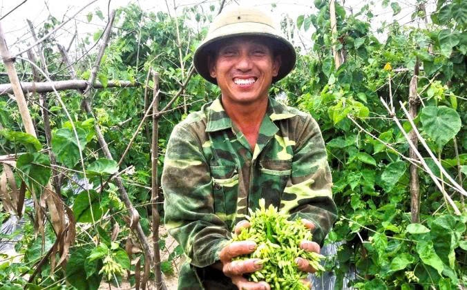 hoa thiên lý năm nay vừa được mùa, vừa dễ bán